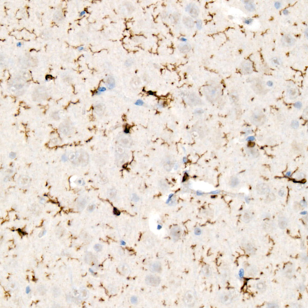 A23283_4.jpg