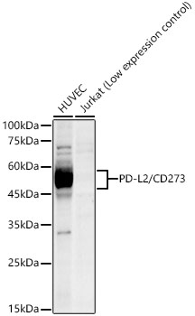 A23287_1.jpg