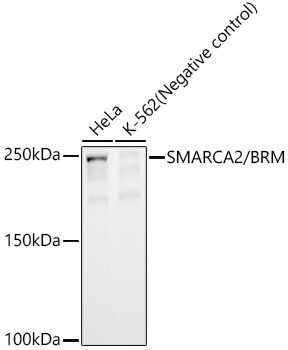 A23291_1.jpg