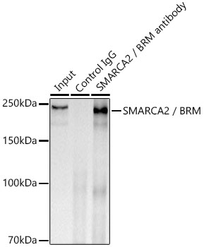 A23291_4.jpg