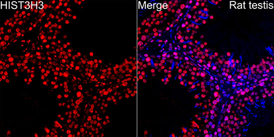 A2348_7.jpg