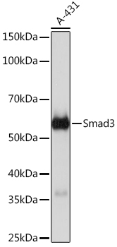 A23491_2.jpg