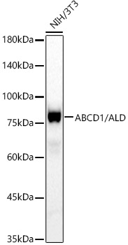 A23569_2.jpg