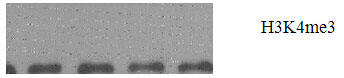 A2357_20200106171655_FB0001059.jpg