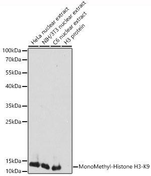 A2358_1.jpg