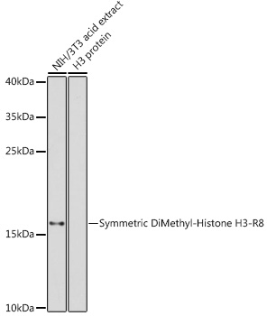 A2374_1.jpg