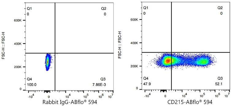 A23849_2.jpg