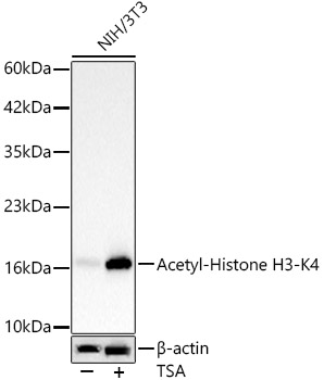 A24340_2.jpg