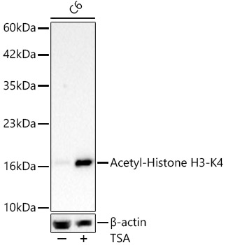 A24340_3.jpg