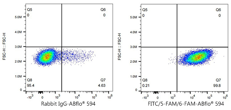 A24355_2.jpg