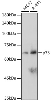 A2670_1.jpg