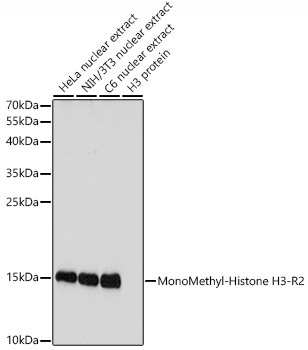 A3154_1.jpg