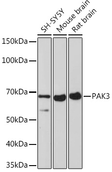 A3363_1.jpg