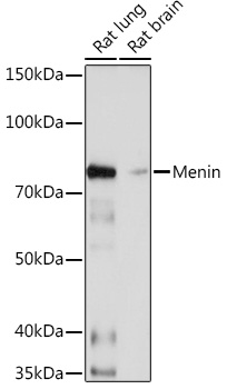 A3395_2.jpg