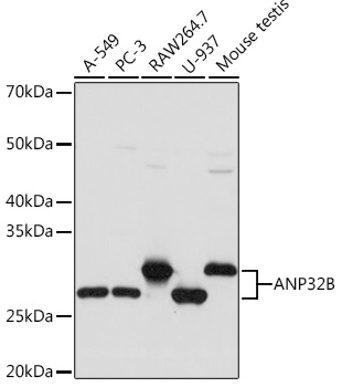A3489_1.jpg