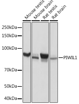 A3490_1.jpg