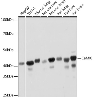 A3529_1.jpg