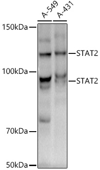 A3588_2.jpg