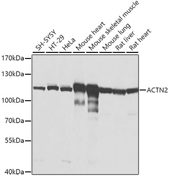 A3718_1.jpg