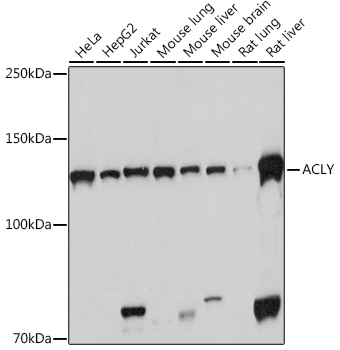 A3719_1.jpg