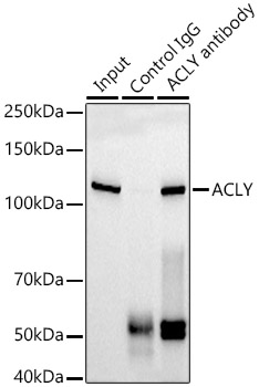 A3719_4.jpg