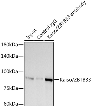 A3770_3.jpg