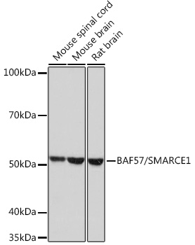 A3814_2.jpg
