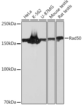A3869_1.jpg