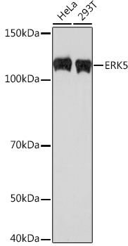 A3948_1.jpg