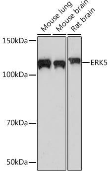 A3948_2.jpg