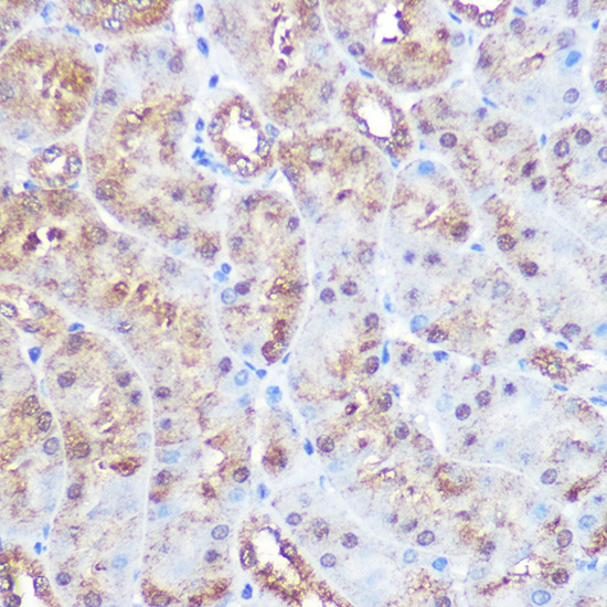 A3948_4.jpg