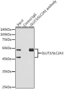 A4137_2.jpg