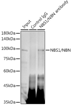A4197_2.jpg