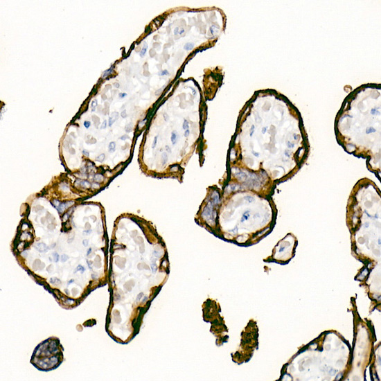 A4304_3.jpg