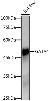 A4306_2.jpg
