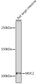 A4767_2.jpg