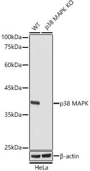 A4771_2.jpg