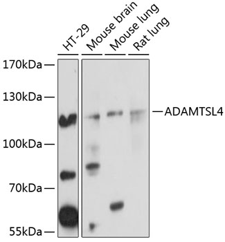 A4785_1.jpg