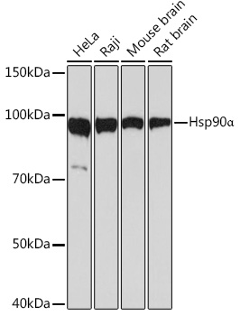 A5006_1.jpg