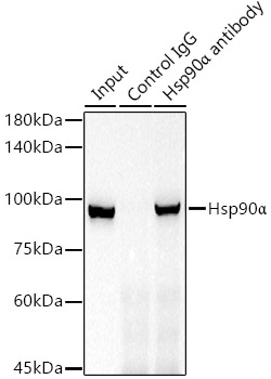 A5006_2.jpg
