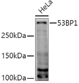 A5757_1.jpg