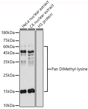 A5870_1.jpg