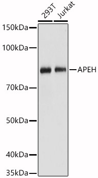A5893_1.jpg