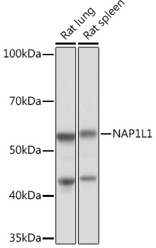 A6174_2.jpg