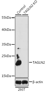 A6761_1.jpg