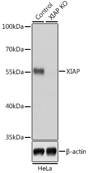A6869_2.jpg
