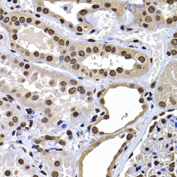 A7045_2.jpg