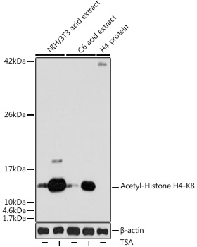 A7258_1.jpg