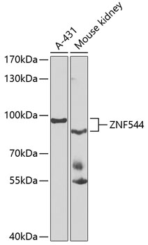 A7366_1.jpg