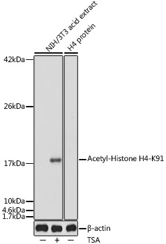 A7409_1.jpg
